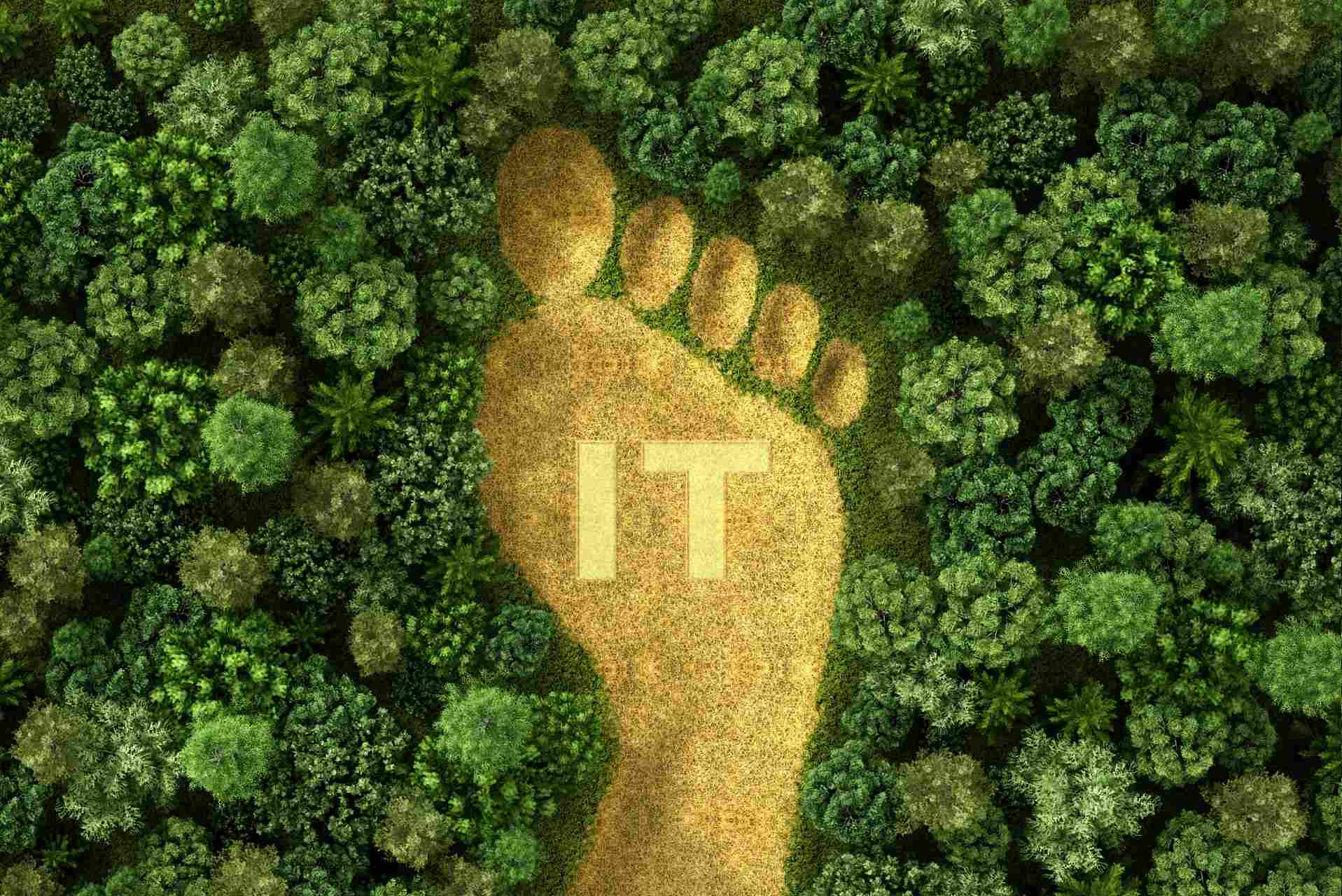 Nachhaltige IT: Den CO2e-Fußabdruck in der IT-Branche verringern
