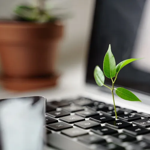 oktobit_digital_sustainability
