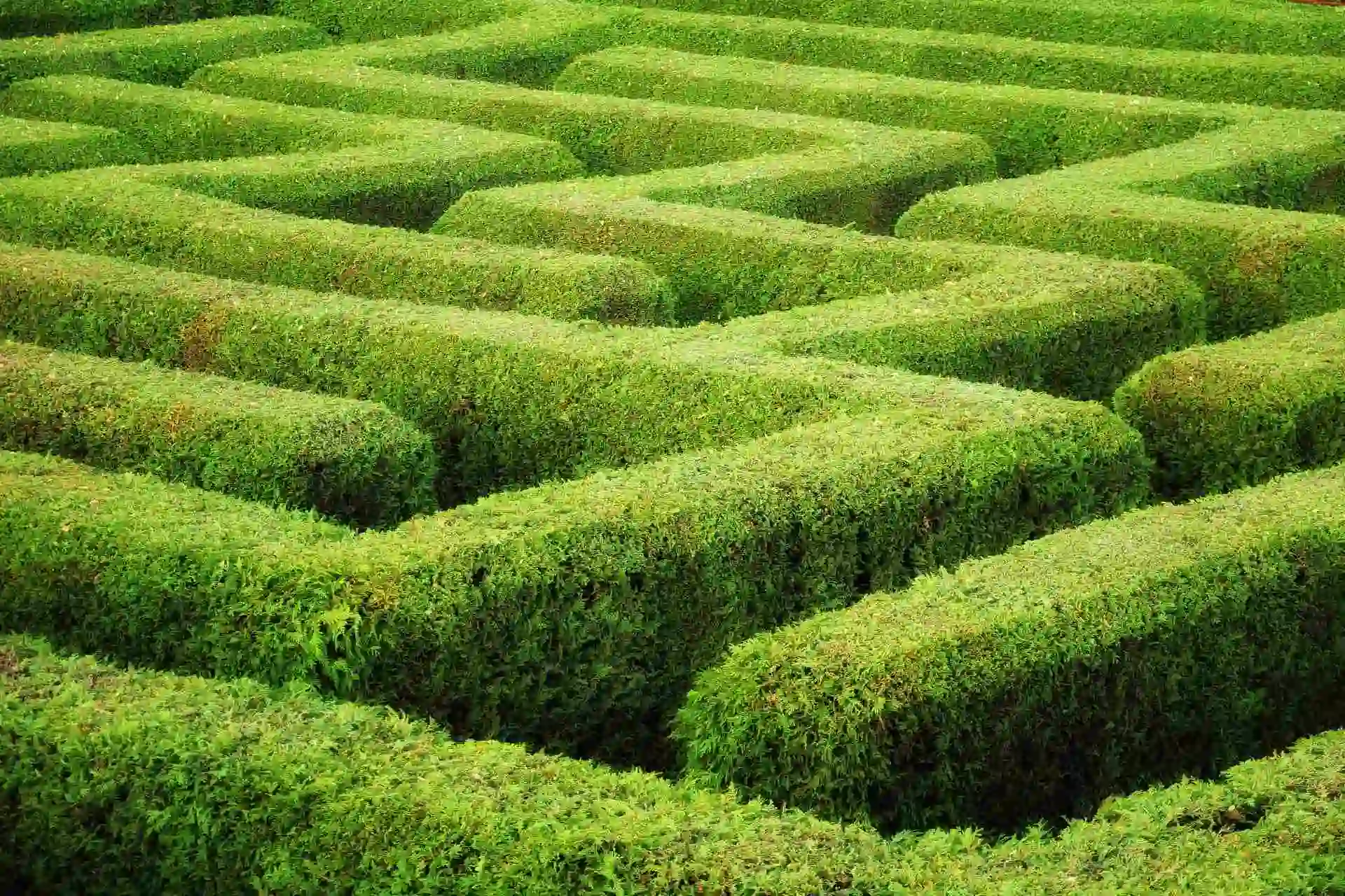 Green-IT Strategie und ihre 5 Bereiche