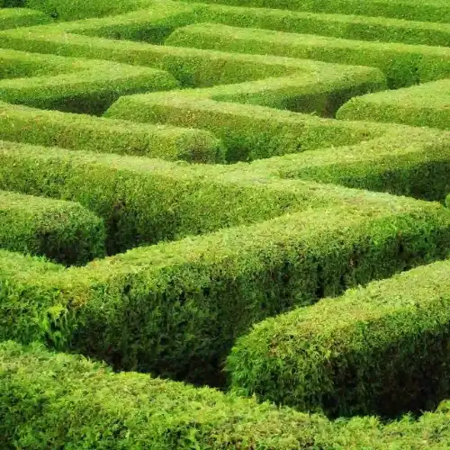 Irrgarten